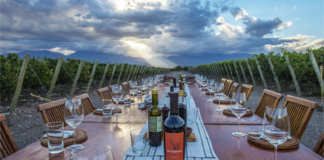 “MENDOZA, MANSO DESTINO”: LA CAMPAÑA QUE CONQUISTÓ LAS REDES Y POTENCIÓ EL TURISMO