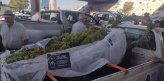CRISIS VITIVINÍCOLA: PRODUCTORES DENUNCIAN ABANDONO, FALTA DE PRECIOS Y CONVOCAN A PROTESTA CON REGALO DE UVA