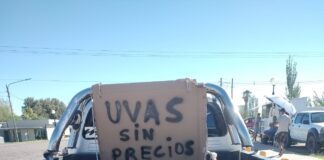 CRISIS TERMINAL EN LA VITIVINICULTURA: PRODUCTORES CONVOCAN A UN CARAVANAZO POR EL PRECIO DE LA UVA