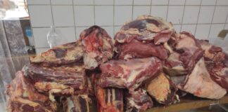 LA PAZ: DECOMISARON 70 KILOS DE CARNE TRANSPORTADOS SIN CONTROLES SANITARIOS