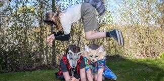 THERIANS: LA MIRADA DE LA PSICOLOGÍA SOBRE QUIENES SE AUTOPERCIBEN ANIMALES