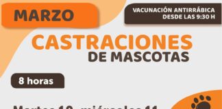 RIVADAVIA REALIZARÁ CASTRACIONES GRATUITAS CON EL QUIRÓFANO MÓVIL EN PLAZA SAN MARTÍN