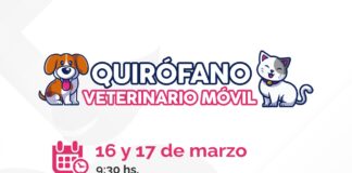 QUIRÓFANO VETERINARIO MÓVIL BRINDARÁ ATENCIÓN EN VILLA CABECERA