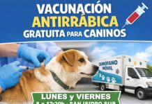 VACUNACIÓN ANTIRRÁBICA GRATUITA PARA PERROS EN RIVADAVIA