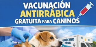 VACUNACIÓN ANTIRRÁBICA GRATUITA PARA PERROS EN RIVADAVIA