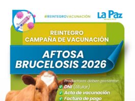 PRODUCTORES GANADEROS PODRÁN ACCEDER AL REINTEGRO DE LA CAMPAÑA DE VACUNACIÓN CONTRA AFTOSA Y BRUCELOSIS
