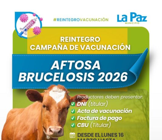 PRODUCTORES GANADEROS PODRÁN ACCEDER AL REINTEGRO DE LA CAMPAÑA DE VACUNACIÓN CONTRA AFTOSA Y BRUCELOSIS