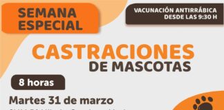 QUIRÓFANO MÓVIL: RIVADAVIA REALIZARÁ CASTRACIONES Y VACUNACIÓN ANTIRRÁBICA EN MEDRANO