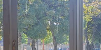 DEFENSA DE LA NEONATOLOGÍA: MARIA RELATÓ CÓMO PROFESIONALES DEL HOSPITAL SAPORITI SALVARON LA VIDA DE SU HIJO