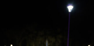 EL ARTE COMO EXPRESIÓN INTERIOR: MARIELA JOFRÉ COMPARTIÓ SU MIRADA EN LA INAUGURACIÓN DE VIBRA