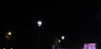 ARTE QUE TRANSFORMA Y SE COMPARTE: “LA TURCA” DEJÓ SU HUELLA EN LA INAUGURACIÓN DE VIBRA