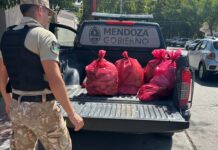 DECOMISARON CARNE Y ALIMENTOS EN MAL ESTADO DURANTE UN CONTROL EN RIVADAVIA