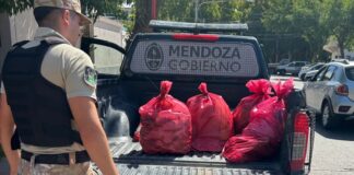 DECOMISARON CARNE Y ALIMENTOS EN MAL ESTADO DURANTE UN CONTROL EN RIVADAVIA