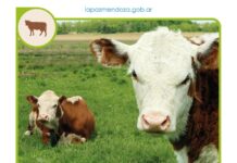 LA PAZ SE PREPARA PARA LA JORNADA GANADERA 2026 EN EL PREDIO FERIAL MUNICIPAL