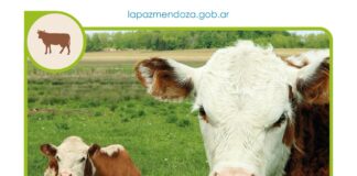 LA PAZ SE PREPARA PARA LA JORNADA GANADERA 2026 EN EL PREDIO FERIAL MUNICIPAL