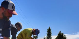AVANZAN LAS OBRAS DE ASFALTO EN EL LATERAL DEL ACCESO SUR EN LUJÁN DE CUYO