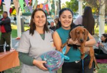 TENENCIA RESPONSABLE Y CASTRACIONES: EL EJE DEL MENSAJE EN EL DÍA DEL ANIMAL