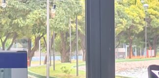EMILIA GARÍN DESTACÓ EL CRECIMIENTO DE LA NATACIÓN EN LA ZONA ESTE Y SU EXPERIENCIA EN COMPETENCIAS