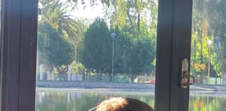 SALUD EN DEBATE: CRÍTICAS Y PEDIDO DE INFORMES AL MINISTERIO POR EL CIERRE DE NEONATALOGÍA DEL HOSPITAL SAPORITI