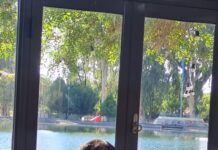 EL CUIDADO DEL PIE DIABÉTICO: CLAVE PARA PREVENIR COMPLICACIONES GRAVES