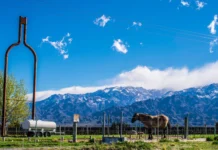 VALLE DE UCO: CUÁNTO CUESTA PASAR UN FIN DE SEMANA EN TUNUYÁN