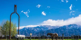 VALLE DE UCO: CUÁNTO CUESTA PASAR UN FIN DE SEMANA EN TUNUYÁN