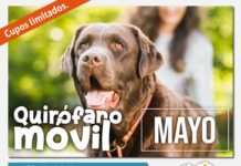 JUNÍN REFUERZA LA TENENCIA RESPONSABLE: EL QUIRÓFANO MÓVIL LLEGA A ALTO VERDE Y ALGARROBO GRANDE