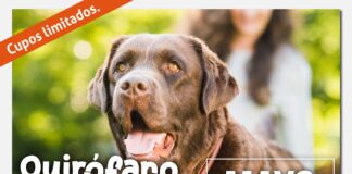 JUNÍN REFUERZA LA TENENCIA RESPONSABLE: EL QUIRÓFANO MÓVIL LLEGA A ALTO VERDE Y ALGARROBO GRANDE
