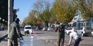 PALMIRA: AVANZAN OBRAS DE REPARACIÓN DE LOSAS Y RENOVACIÓN DE CAÑERÍAS CLOACALES EN DOS SECTORES CLAVE