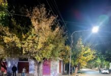 CONMOCIÓN EN PALMIRA POR UN ACCIDENTE FATAL