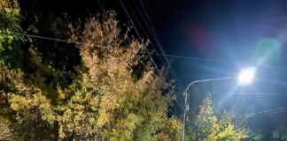 CONMOCIÓN EN PALMIRA POR UN ACCIDENTE FATAL