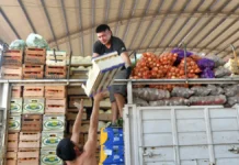 FRUTAS Y VERDURAS: AUMENTOS DE HASTA DIEZ VECES EN ALGUNOS PRODUCTOS