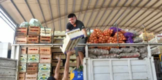 FRUTAS Y VERDURAS: AUMENTOS DE HASTA DIEZ VECES EN ALGUNOS PRODUCTOS