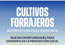 RIVADAVIA BUSCA DIVERSIFICAR SU PRODUCCIÓN CON CULTIVOS FORRAJEROS