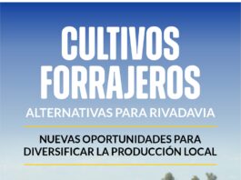 RIVADAVIA BUSCA DIVERSIFICAR SU PRODUCCIÓN CON CULTIVOS FORRAJEROS