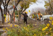 AVANZA EL PLAN DE PODA 2026 EN DISTINTOS SECTORES DE RIVADAVIA