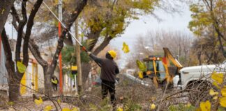 AVANZA EL PLAN DE PODA 2026 EN DISTINTOS SECTORES DE RIVADAVIA