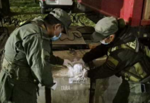 MÁS DE 1.100 KILOS DE DOGRA SINTÉTICA FUERON SECUESTRADOS EN UN CAMIÓN QUE TENÍA COMO DESTINO MENDOZA