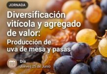 INTA IMPULSA LA DIVERSIFICACIÓN PRODUCTIVA CON UVA DE MESA, PASAS Y JUGOS