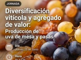 INTA IMPULSA LA DIVERSIFICACIÓN PRODUCTIVA CON UVA DE MESA, PASAS Y JUGOS