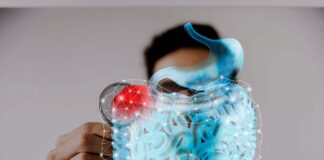 LA MICROBIOTA: EL SEGUNDO CEREBRO QUE INFLUYE EN TU SALUD