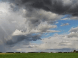 FINAL DEL MUNDIAL: PRONOSTICAN LLUVIAS Y UNA MÁXIMA DE 12 GRADOS EN MENDOZA