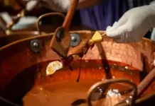 ÉXITO DE CHOCOFEST: MENDOZA YA PROYECTA UNA SEGUNDA EDICIÓN