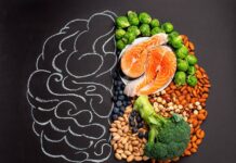 NUTRICIÓN Y CEREBRO: LOS HÁBITOS QUE AYUDAN A RENDIR MEJOR