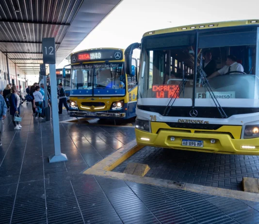 EL BOLETO SUBE 20% Y VADILLO APUNTÓ CONTRA LOS SUBSIDIOS