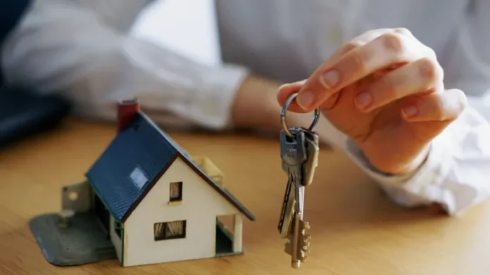 mercado-inmobiliario-vivienda-alquiler-local